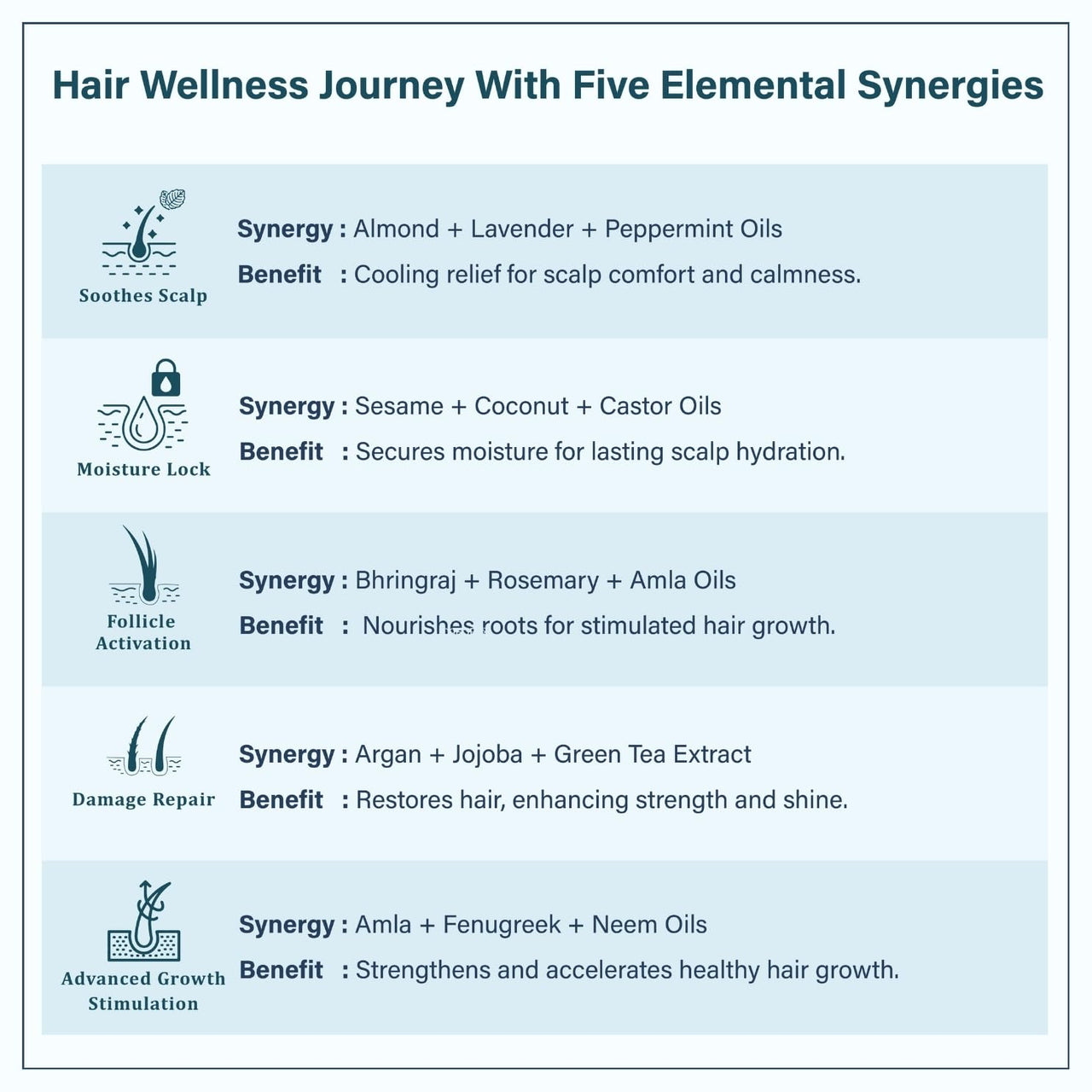 Singular Scalp Care Hair Oil for Itchy Scalp, Soothing & Sebum Control, Cold-Pressed with Tea Tree, Neem, Argan & More - 200ml