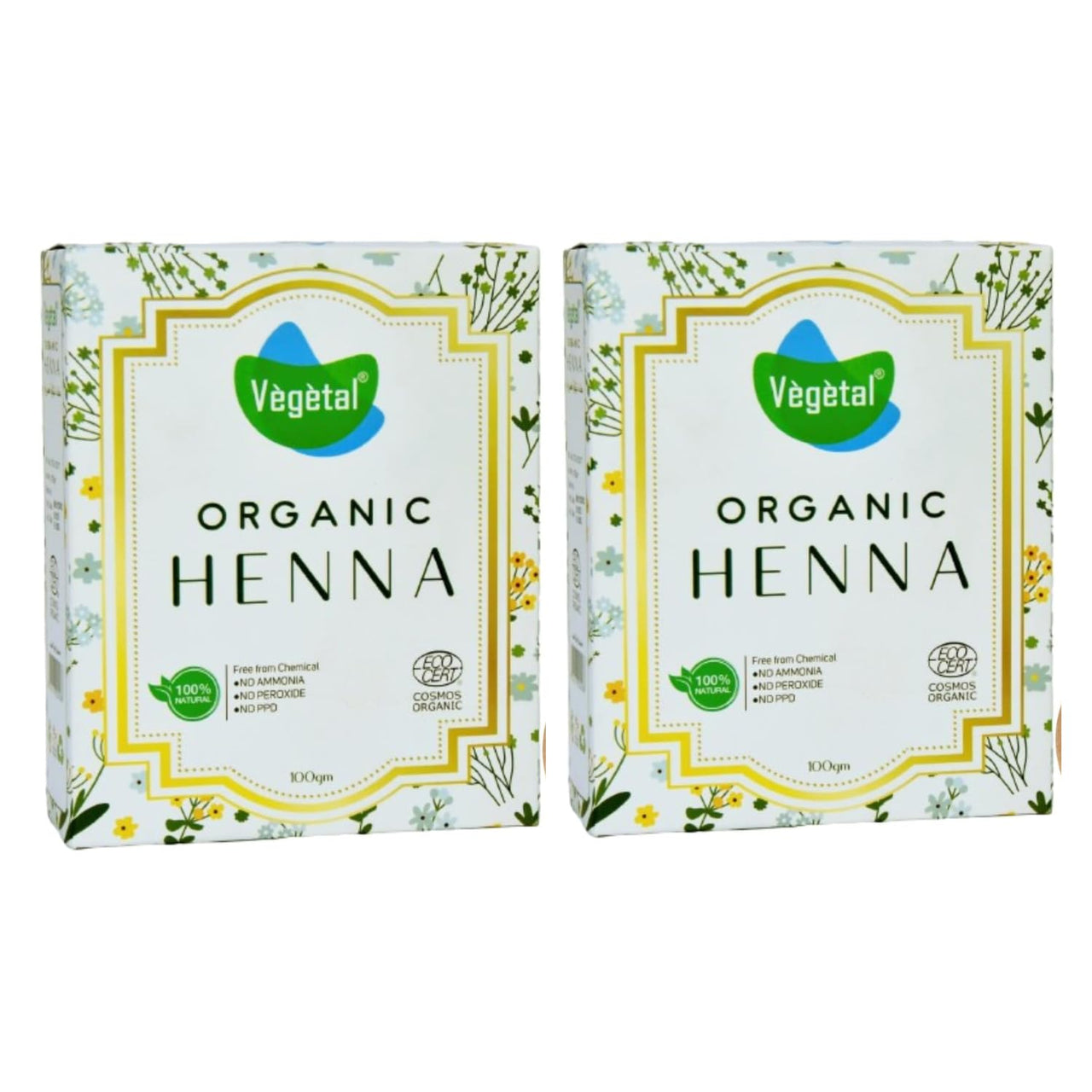 Vegetal Organic Henna Powder, 100% Natural, Chemical-Free, 100 gm, Pack of 2