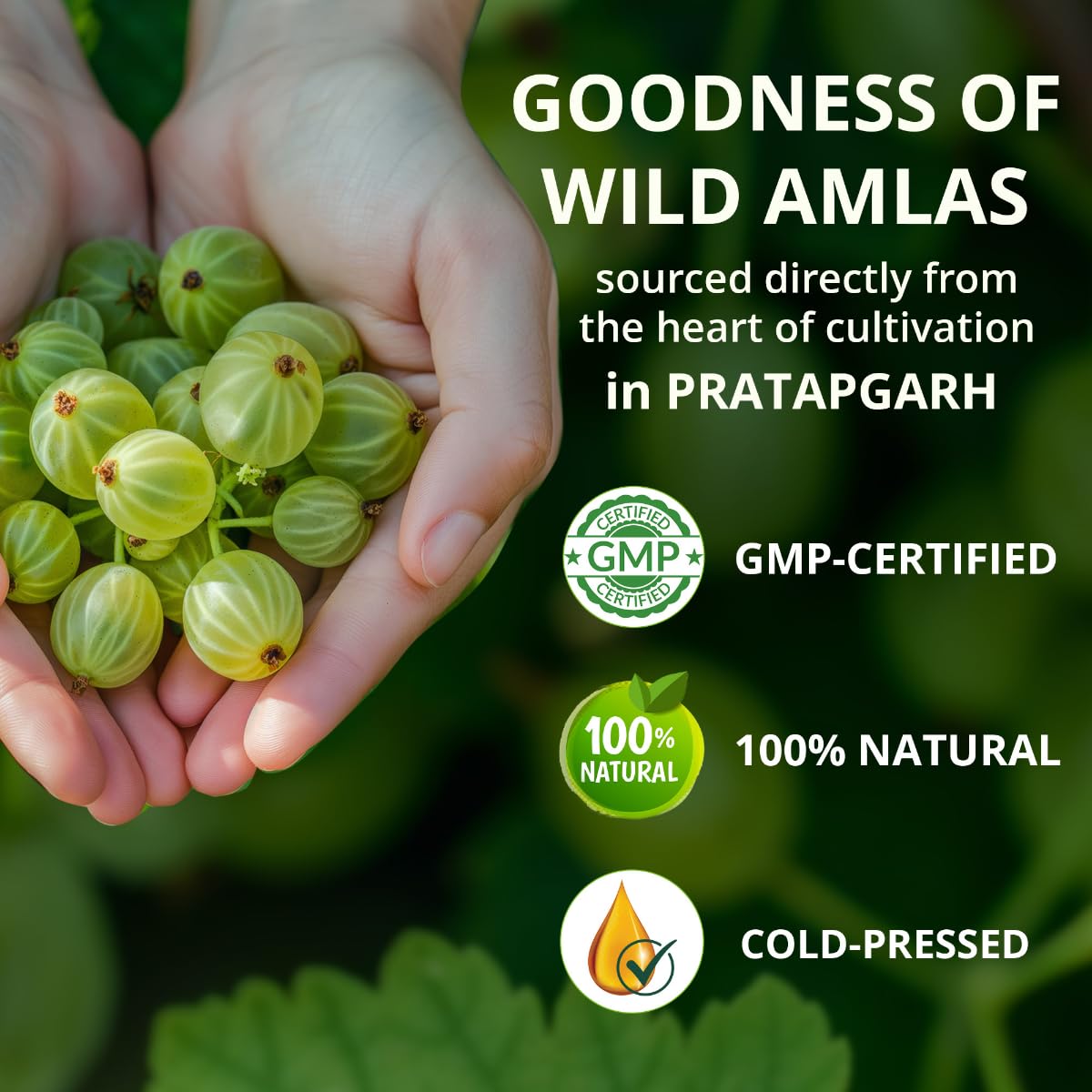 Vansaar Ayurvedic Tangy Amla Juice - 1L | 100% Cold Pressed Wild Amlas Rich In Vitamin C Sourced from Pratapgarh | Farm to Bottle in 12 Hours | 75 Pure Amlas for Hair Growth & Detoxification