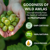 Vansaar Ayurvedic Tangy Amla Juice - 1L | 100% Cold Pressed Wild Amlas Rich In Vitamin C Sourced from Pratapgarh | Farm to Bottle in 12 Hours | 75 Pure Amlas for Hair Growth & Detoxification