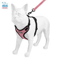 Voyager Step-in Lock Dog Harness w Reflective Dog Leash Combo Set with Neoprene Handle 5ft - Supports Small, Medium and Large Breed Puppies/Cats by Best Pet Supplies - Pink/Black Trim, L Harness Leash Set (Pink/Black Trim) L (Chest: 20 - 25