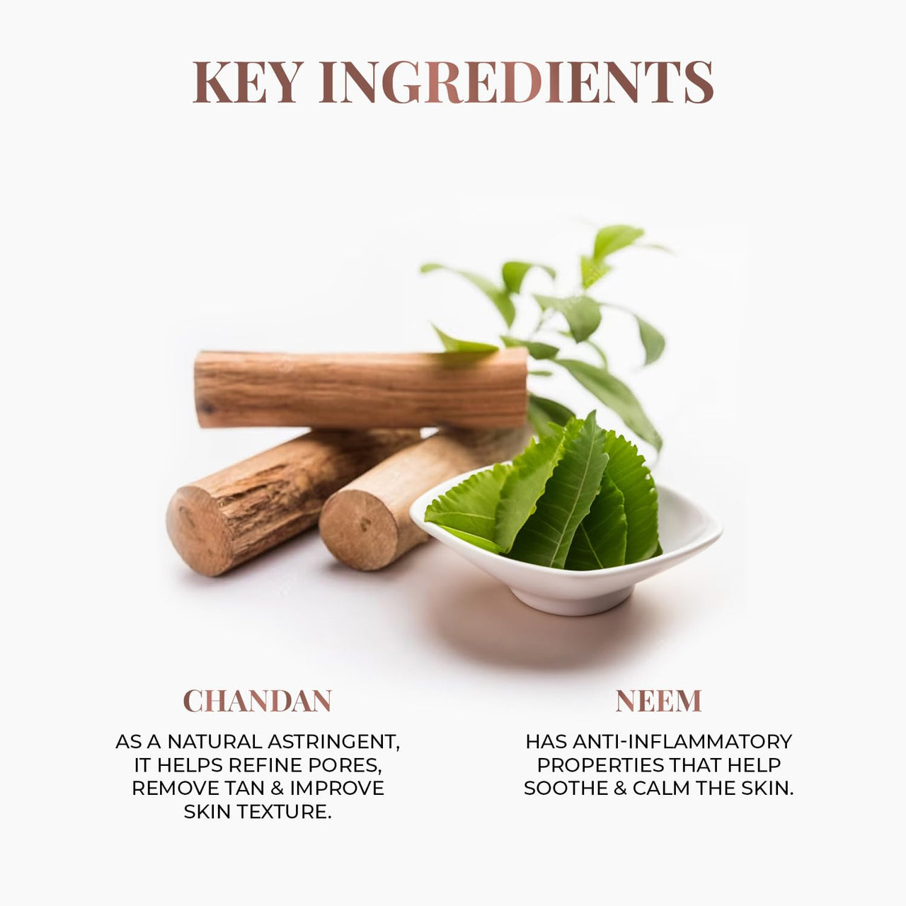 Just Herbs Ayurvedic Aglow Neem-Chandan 2 in 1 Dry Face Wash Skin Purifying Face Cleansing Powder, 100% Natural & Certified Ayurvedic, 65 GM
