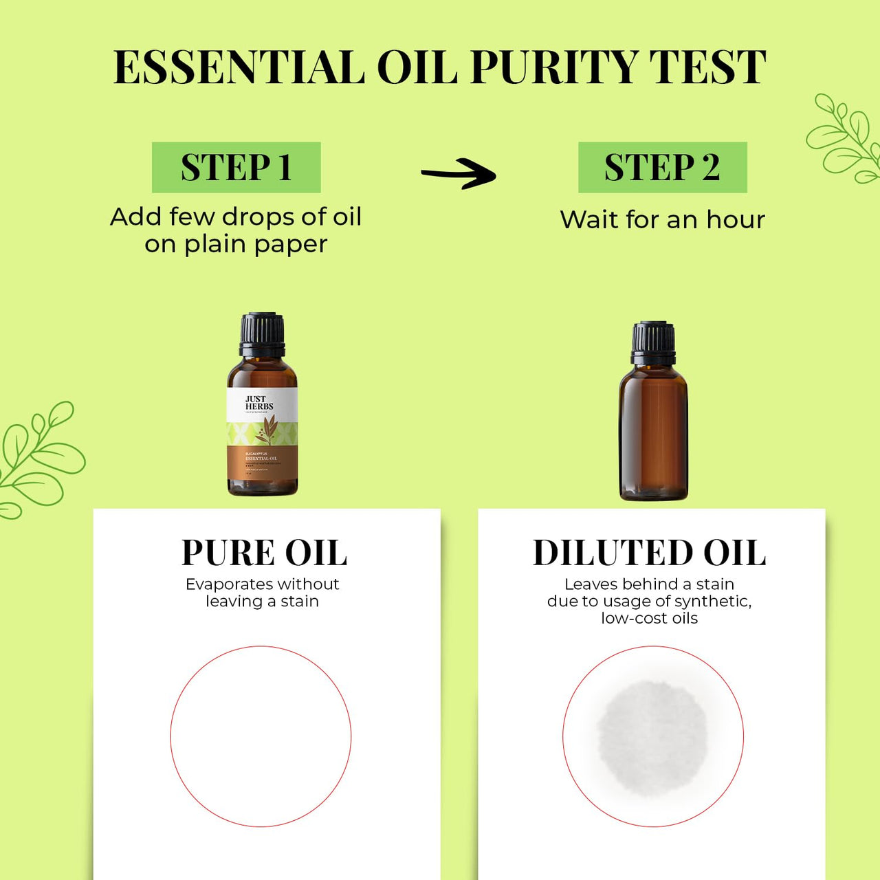 Just Herbs Eucalyptus Undiluted Steam Distilled 100% Natural Essential Oil for Hair Growth | Steam Inhalation | Aromatherapy and Skincare 10ml