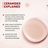 Plum Hibiscus & Ceramides Smoothing Hair Serum | Enriched with Jojoba Oil & Vitamin E | Nourishing Formula for Long, Frizz-Free Hair | Suitable for All Hair Types | 100% Vegan & Cruelty-Free | 75ml