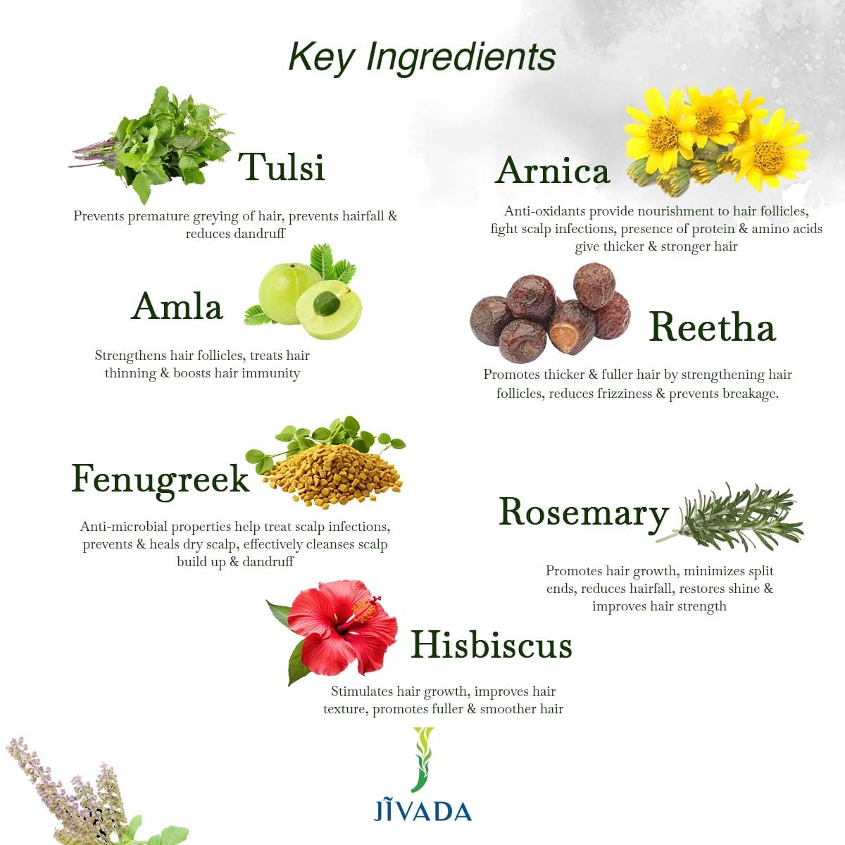 Jivada Gleaming Hair Mask with Rosemary, Hibiscus & Amla | Arnica, Tulsi & Fenugreek | For Dry & Frizzy Hair |Silky & Shiny Hair | All Hair Types | Women & Men | Sulphate & Paraben Free | 100 Gram