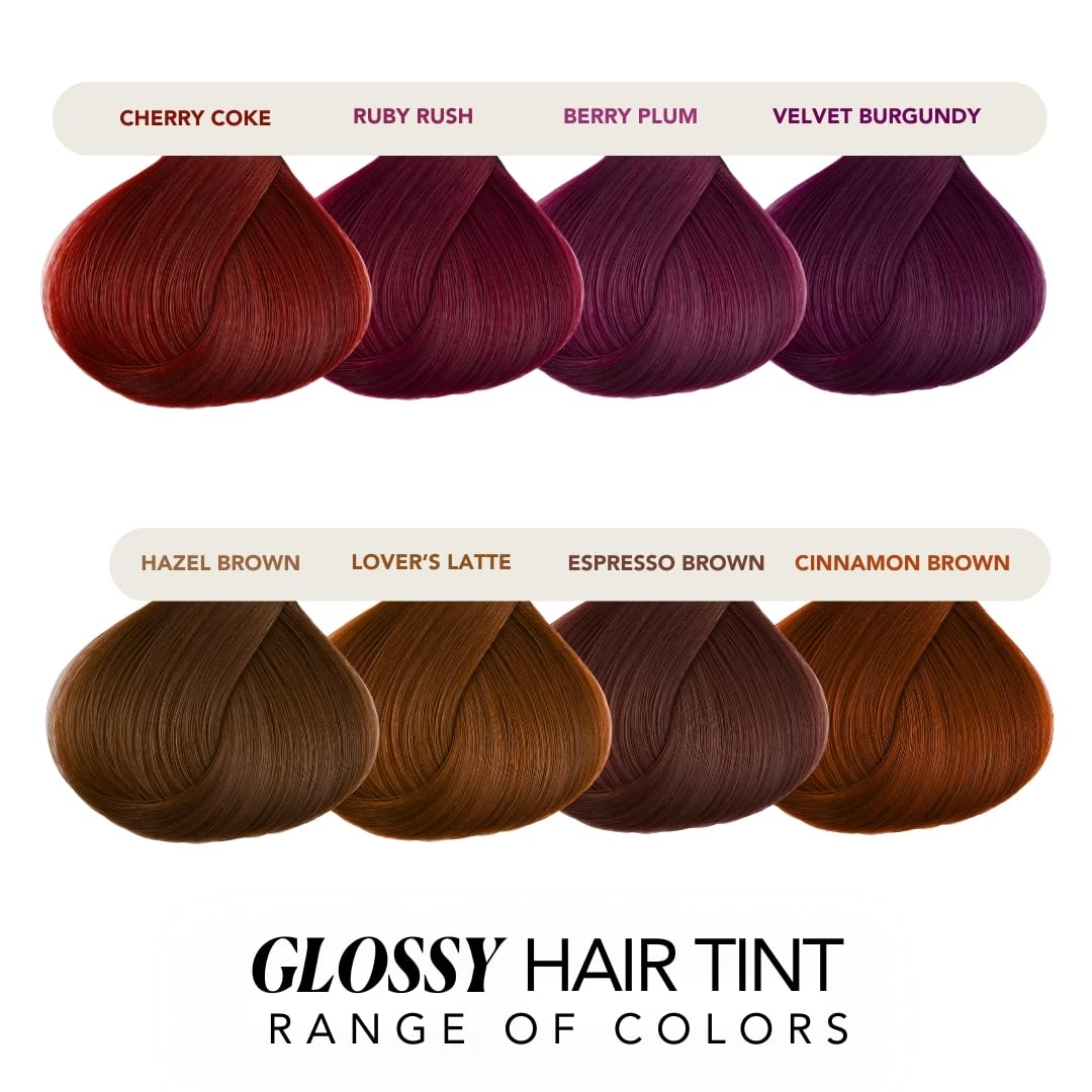 Paradyes No Bleach Berry Plum Glossy Hair Tint - Ammonia-Free for Natural Black Hair, Visible Results - Includes Anti-Fade Conditioner for Long-Lasting Shine, 1 Count
