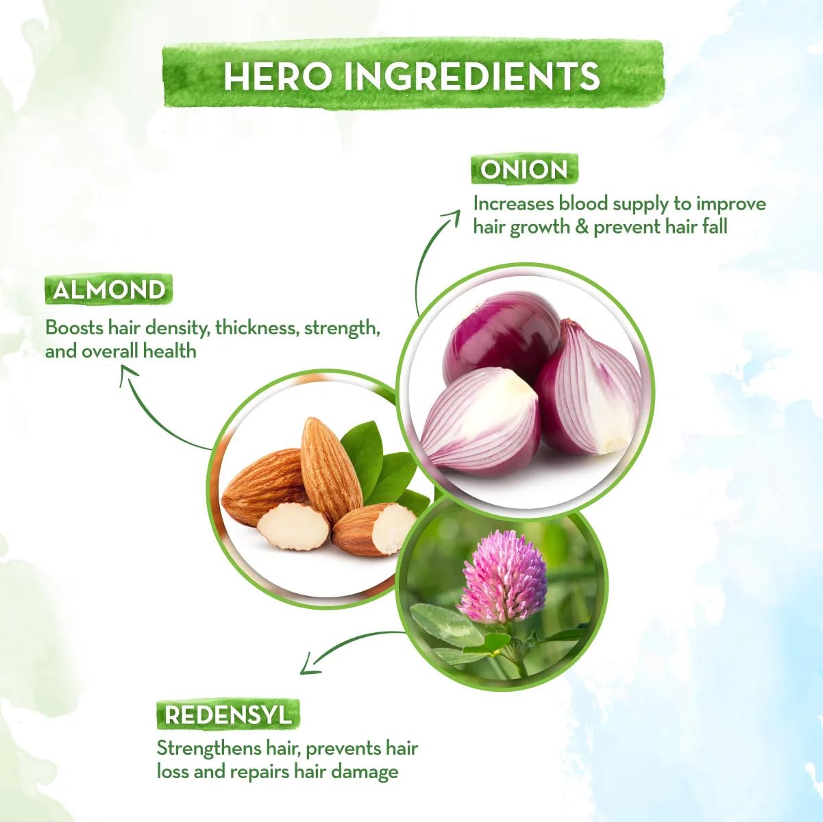 Mamaearth Onion Duo For Hair Fall Control: Onion Hair Oil 250 ml + Onion Shampoo 400 ml