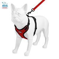Voyager Step-in Lock Dog Harness w Reflective Dog Leash Combo Set with Neoprene Handle 5ft - Supports Small, Medium and Large Breed Puppies/Cats by Best Pet Supplies - Red/Black Trim, L