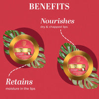 Khadi Natural Lychee Lip Balm With Beeswax & Shea Butter|For Soft & Hydrated Lips|Herbal Lip Balm For Chapped Lips|Free From Harsh Chemicals | Unisex | Pack Of 3 | (5*3) (15 Gm), Transparent