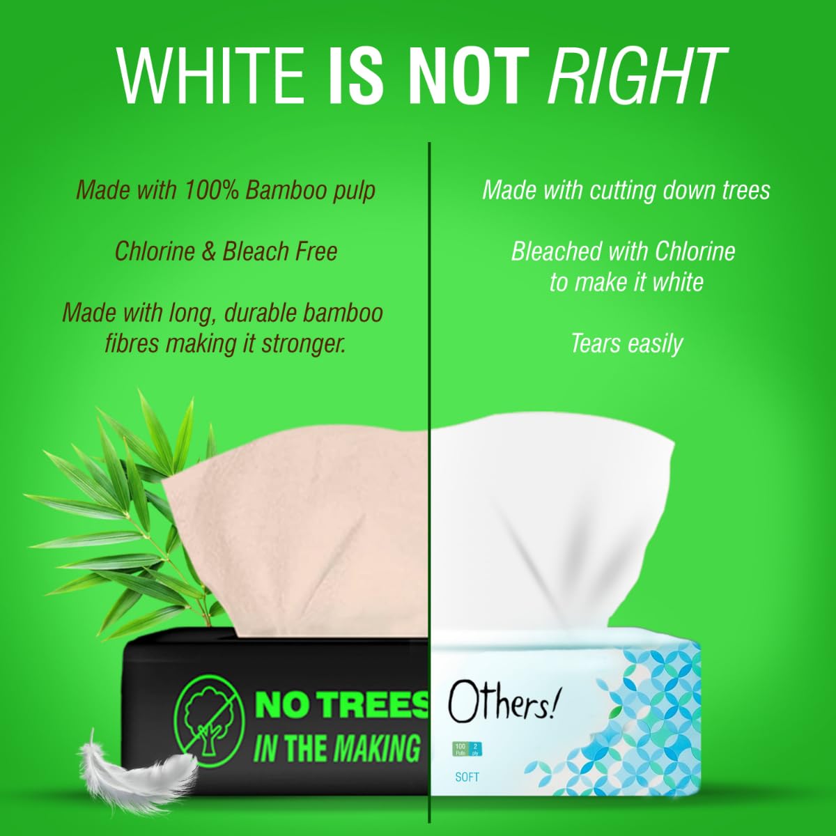 Beco Eco-Friendly Soft Facial Tissue & Kitchen Tissue Combo| Tissue Paper Box(100Pulls- Pack of 6) | Kitchen Tissue Roll (60Pulls-Pack of 4) | Super Absorbent, Unbleached, 100% Natural Chemical Free