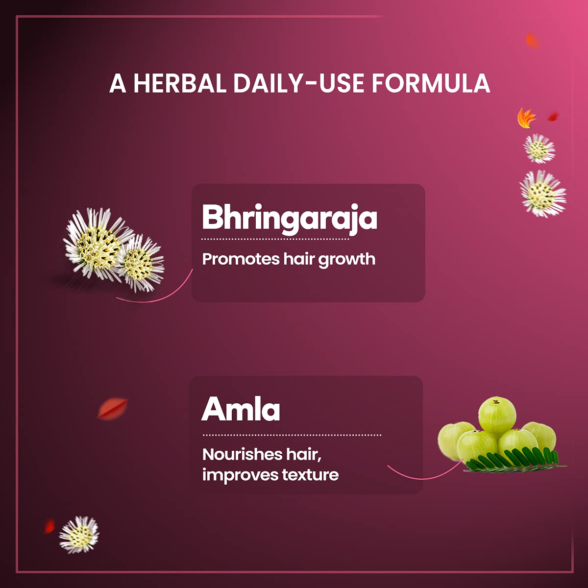 Himalaya Anti-Hair Fall Cream | Reduces Hair Fall & Improves Hair Conditioning | Non Sticky Oil Replacement Hair Cream | With Bhringraja & Amla | For Women & Men | 100ml (Pack of 3)