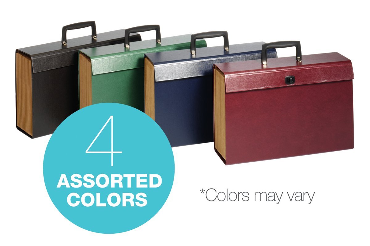 Globe-Weis/Pendaflex Globe Weis 19-Pocket File Express Case (11170) (Colors May Vary),Assorted Colors, Legal