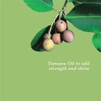 True Frog Everyday Hair Conditioner To Smoothen Hair And Fight Frizz With White Lotus Flower Extract And Avocado Butte For All Hair Types - 250 Millilitre