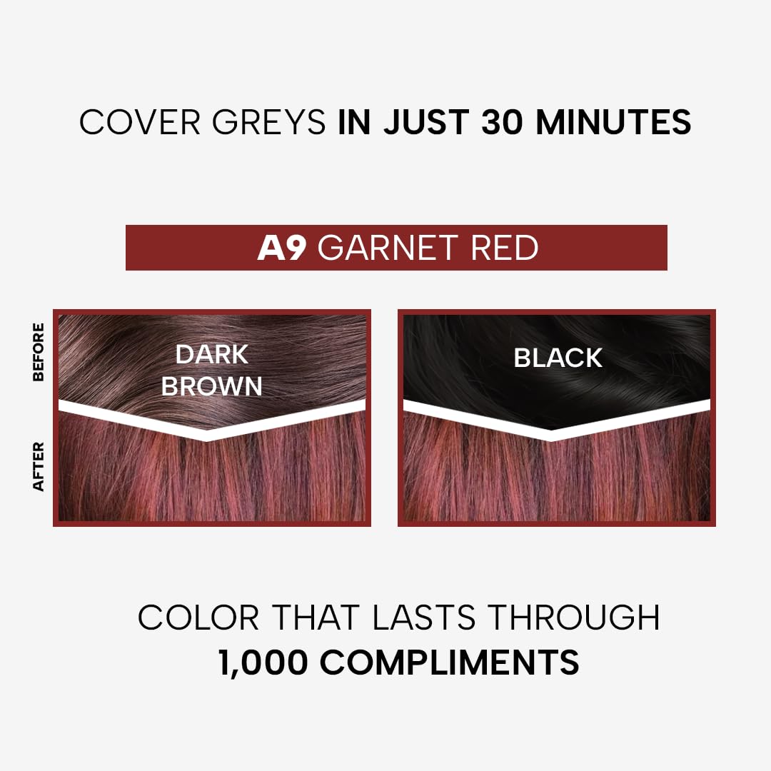 Berina Professional | Permanent Hair Color Cream | 60gm | A09 Garnet Red | Long Lasting Color
