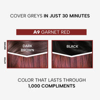 Berina Professional | Permanent Hair Color Cream | 60gm | A09 Garnet Red | Long Lasting Color