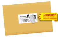 Avery Printable Shipping Labels with Sure Feed, 2