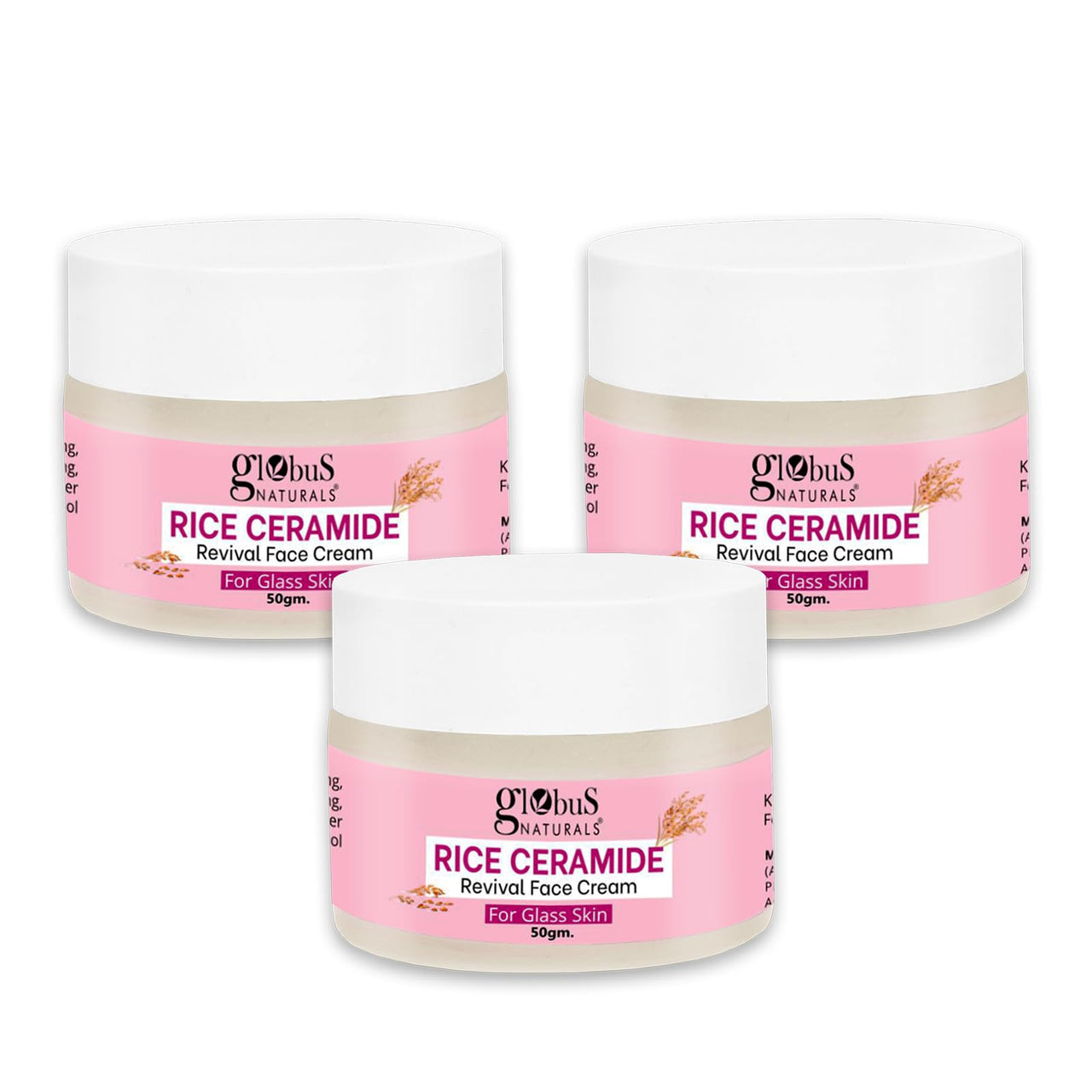 Globus Natural Rice Ceramide Revival Face Cream, Enriched with Sunflower & Coffee, For Glass Skin, 50 gm (Pack of 3)