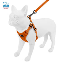 Best Pet Supplies Voyager Adjustable Dog Harness Leash Set with Reflective Stripes for Walking Heavy-Duty Full Body No Pull Vest with Leash D-Ring, Breathable All-Weather - Harness (Orange), XS Harness Leash Set (Orange) XS (Chest: 13 - 16