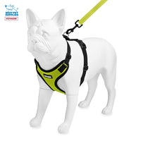 Voyager Step-in Lock Dog Harness w Reflective Dog Leash Combo Set with Neoprene Handle 5ft Supports Small, Medium and Large Breed Puppies Cats by Best Pet Supplies Lime Green Black Trim, XL