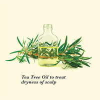 TRue FRoG Anti Dandruff Shampoo for Dry and Frizzy Hair with Black pepper Fruit, Inga Bark Extract and Tea Tree Oil - 250 ml