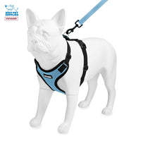 Voyager Step-in Lock Dog Harness w Reflective Dog Leash Combo Set with Neoprene Handle 5ft - Supports Small, Medium and Large Breed Puppies/Cats by Best Pet Supplies - Baby Blue/Black Trim, XL