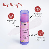 Whimsy Natural Organic Tinted Lip Balm for Kids - Hydrating and Nourishing for Dry & Chapped Lips - All Skin Types - Intense Care for Soft, Smooth, Moisturized Lips (Nature)