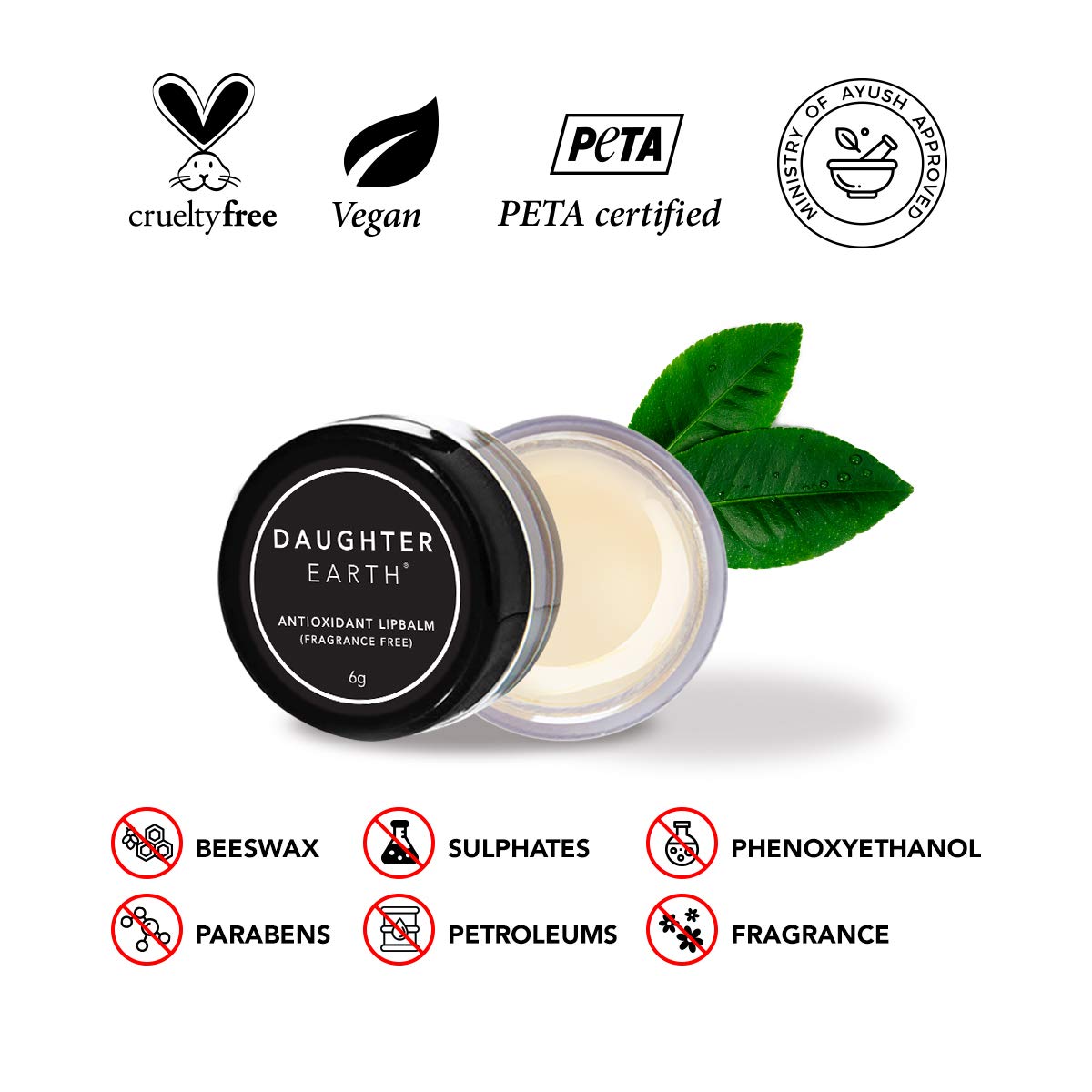 DAUGHTER EARTH Antioxidant Lip Balm | Vegan and Beeswax Free | Lip Care For Dry Chapped & Pigmented Lips | Fragrance Free Hydrating Natural Lip Mask | Soft Pink Moisturized Lips | 6 gm