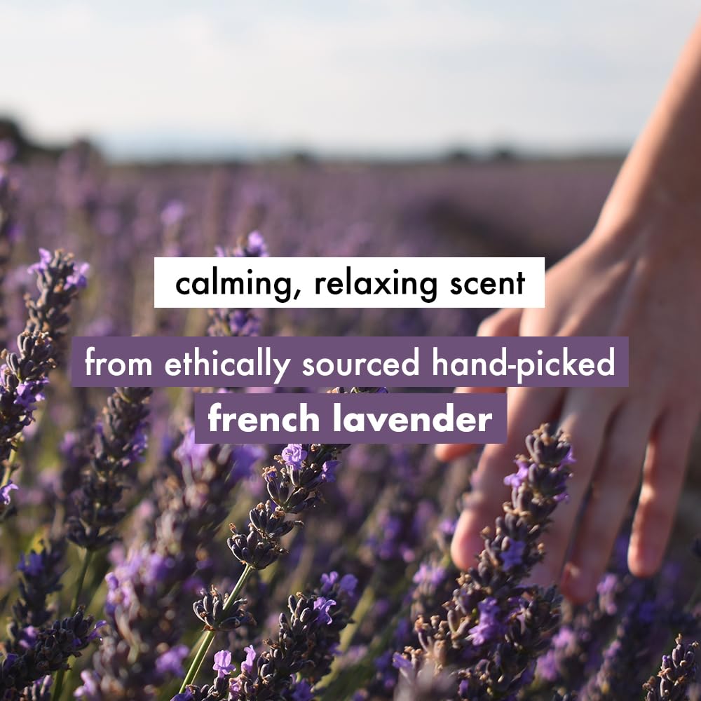 Love Beauty & Planet Argan Oil and Lavender Paraben Free Smooth and Serene Conditioner|| No Parabens|| No Dyes|| 400ml