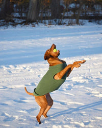 Gooby Stretch Fleece Vest Dog Sweater - Indigo Blue, 5X-Large - Warm Pullover Fleece Dog Jacket - Winter Dog Clothes for Small Dogs Boy - Dog Sweaters for Small Dogs to Dog Sweaters for Large Dogs