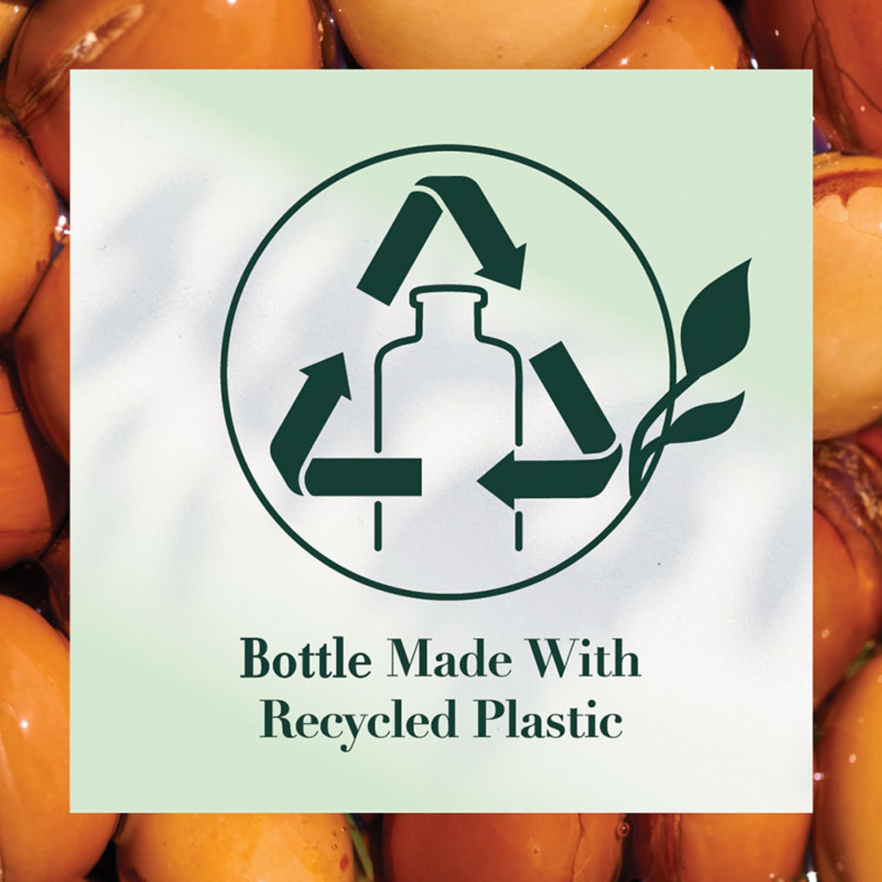 Herbal Essences bio:renew Argan Oil of Morocco CONDITIONER, 400ml | No Parabens No Colourants
