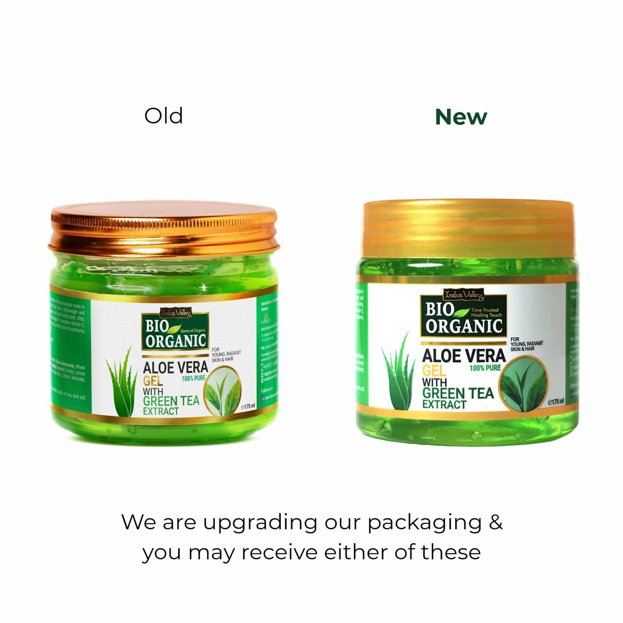 INDUS VALLEY Bio Organic Pure Multipurpose Aloe Vera Gel With Green Tea Extract For Face, Body & Hair,For Glowing & Soothing Skin, Anti-Ageing & Acne, Suitable to All Skin Type - 175ml
