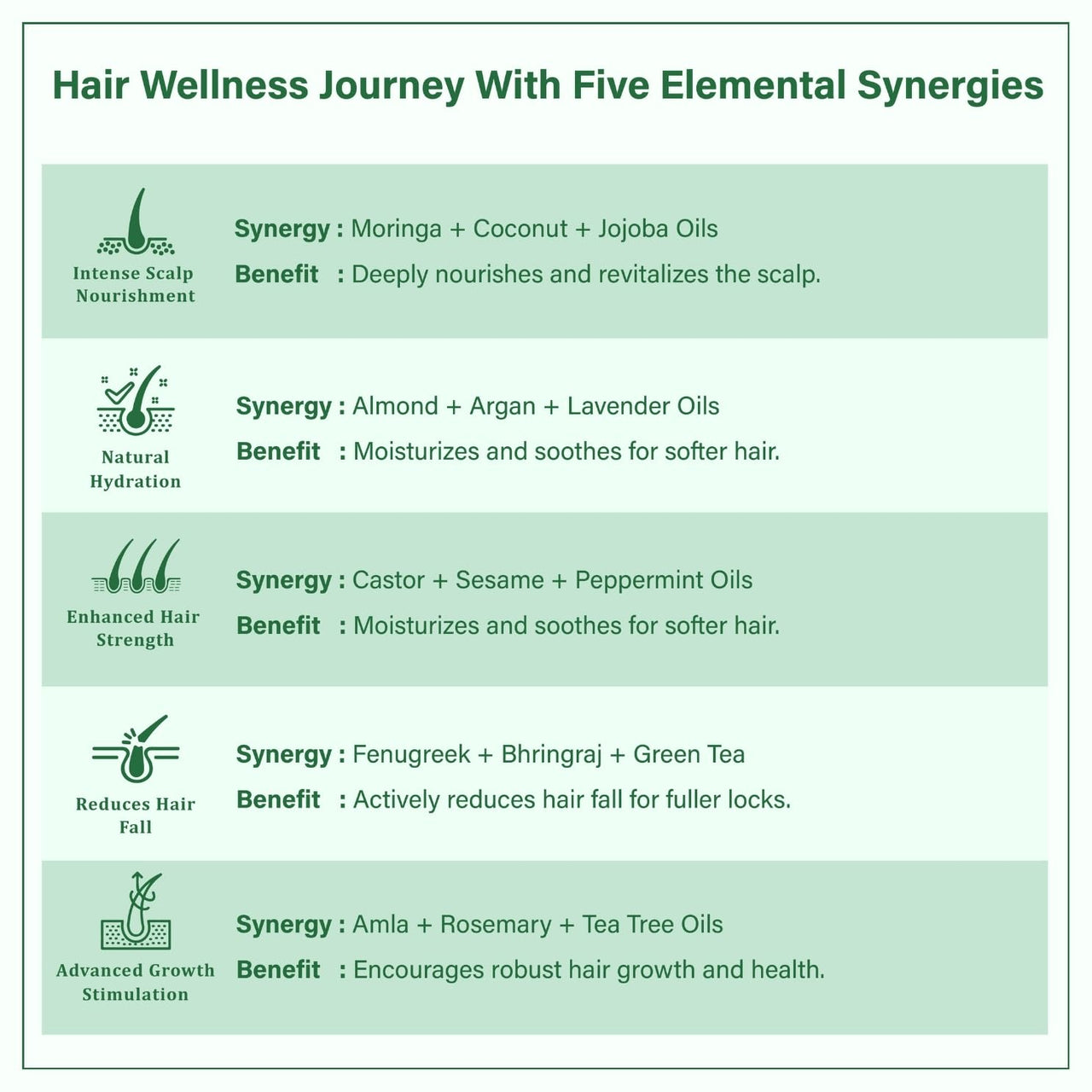 Singular Ever Guard Hair Oil for Men & Women | Hair Growth & Hair Fall Control | Cold-Pressed Blend of Argan, Almond, Bhringraj, Rosemary Oil & Vitamin E (200 ml)