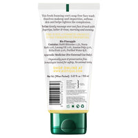 Biotique Bio Papaya Visibly Flawless Skin Face Wash (soft scrub) 100ml and Biotique Bio Pineapple Oil Control Foaming Face Wash, 150ml