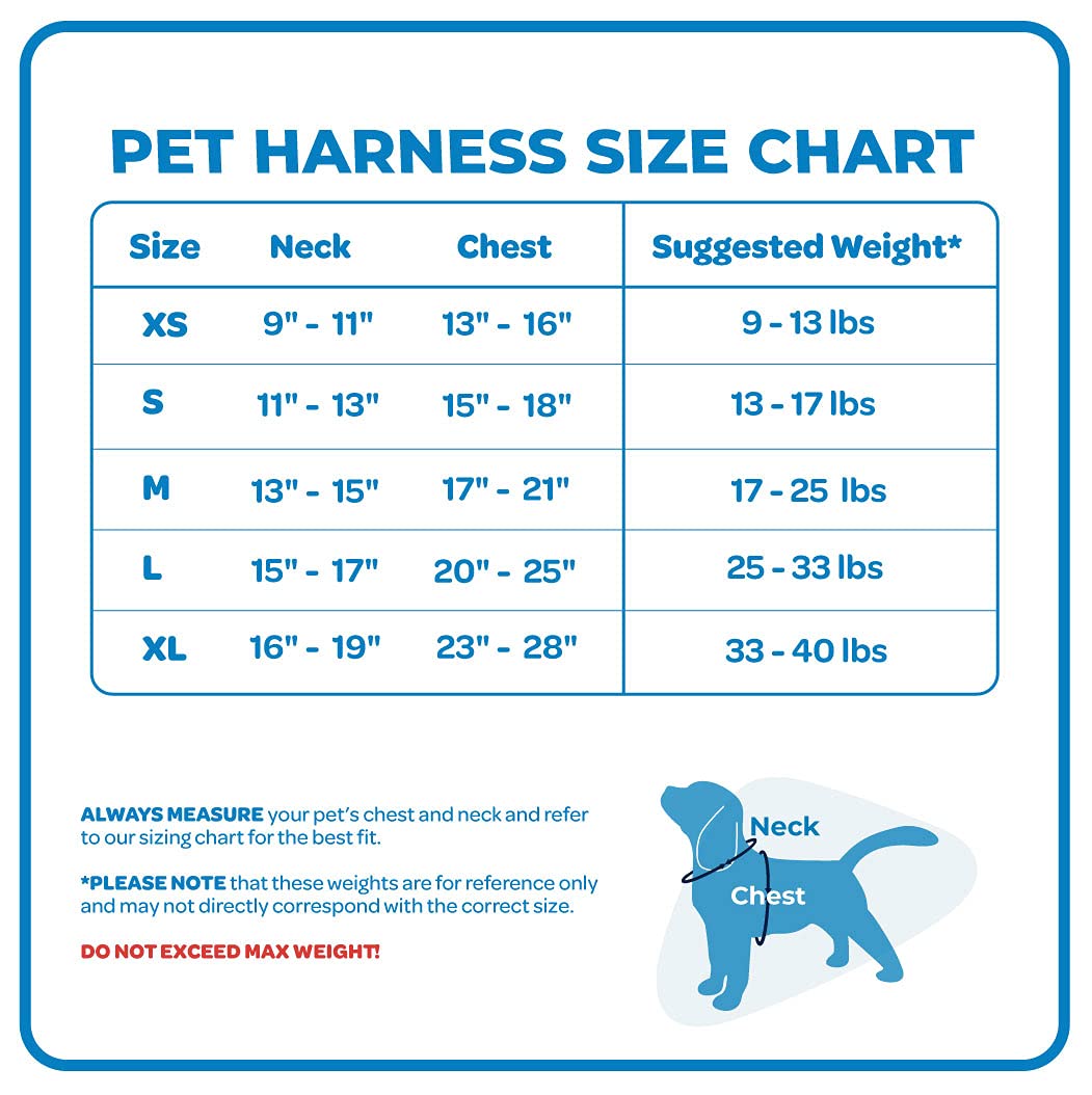 Best Pet Supplies Voyager Adjustable Dog Harness with Reflective Stripes for Walking, Jogging, Heavy-Duty Full Body No Pull Vest with Leash D-Ring, Breathable All-Weather - Harness (Fuchsia), XS