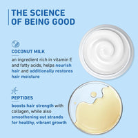 Plum Coconut Milk & Peptides Shampoo for Dry & Frizzy Hair | Provides 22X Shiny & Softer Hair | Paraben-Free | Hair Shampoo for Women & Men | for Straight, Wavy & Rough Hair | pH Balanced | 500ml