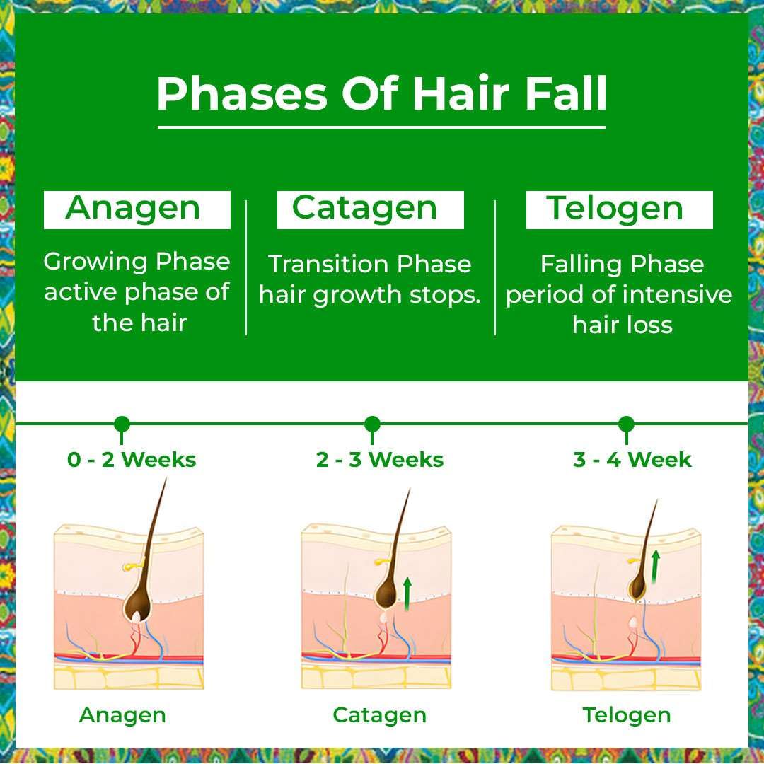 Passion Indulge's Rosemary Hair Growth Kit by Passion Indulge - Rosemary Hair Growth Hair Oil, Serum & Anti Hair Fall Conditioning Shampoo