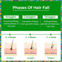 Passion Indulge's Rosemary Hair Growth Kit by Passion Indulge - Rosemary Hair Growth Hair Oil, Serum & Anti Hair Fall Conditioning Shampoo