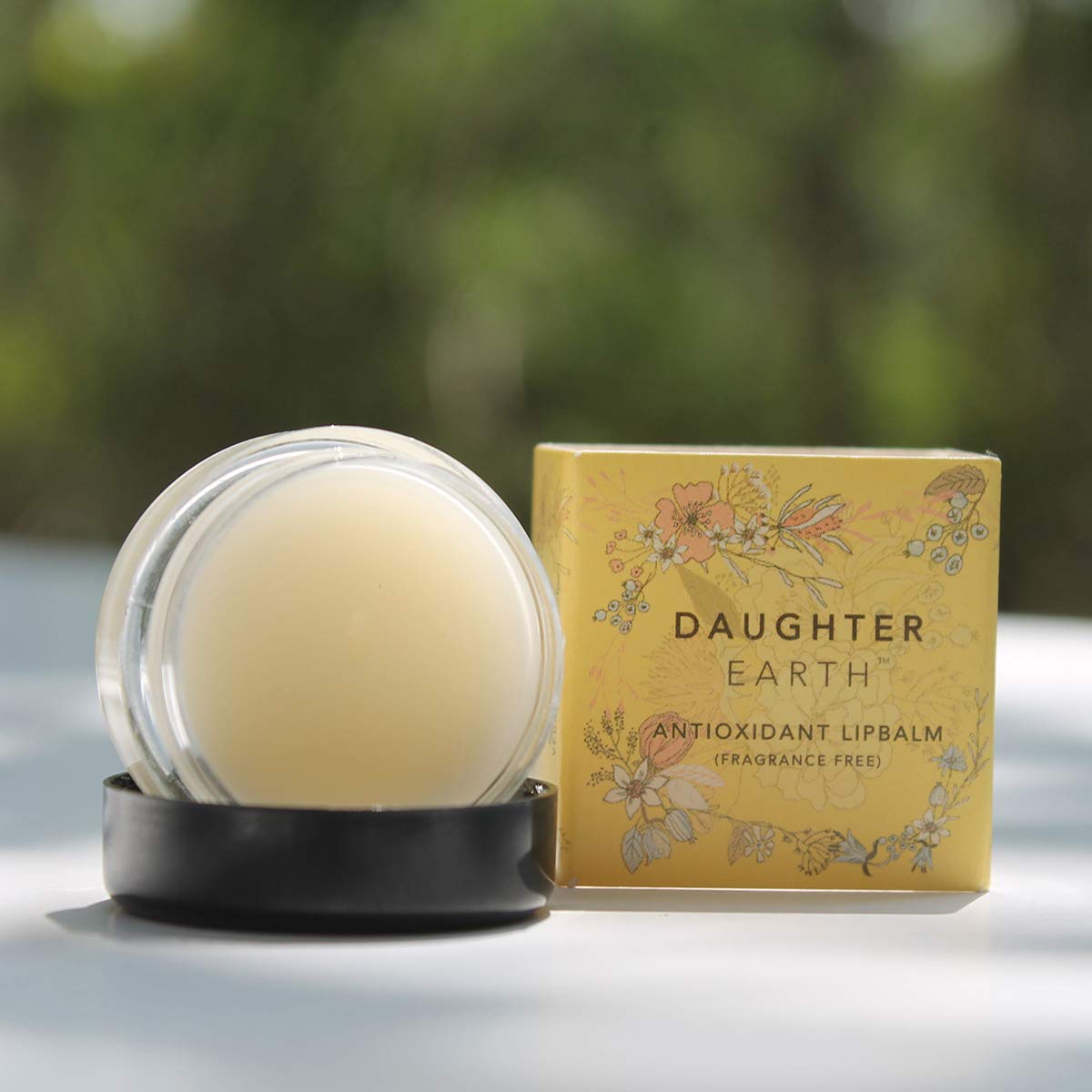 DAUGHTER EARTH Antioxidant Lip Balm | Vegan and Beeswax Free | Lip Care For Dry Chapped & Pigmented Lips | Fragrance Free Hydrating Natural Lip Mask | Soft Pink Moisturized Lips | 6 gm