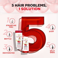 L’Oréal Paris Dream Lengths Shampoo, 192.5 Ml & Total Repair 5 Repairing Shampoo With Keratin Xs, 192.5Ml