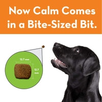 ThunderWunders Hemp Dog Calming Chews | Vet Recommended for Situational Anxiety | Fireworks, Thunderstorms, Travel & More | Made with Hemp Seed, Thiamine, L-Tryptophan, Melatonin & Ginger (180 Count) 180 Count