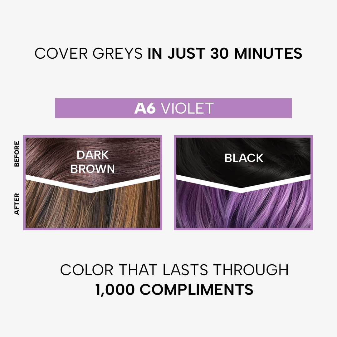 Berina Professional | Permanent Hair Color Cream | 60gm | A06 Violet | Long Lasting Color