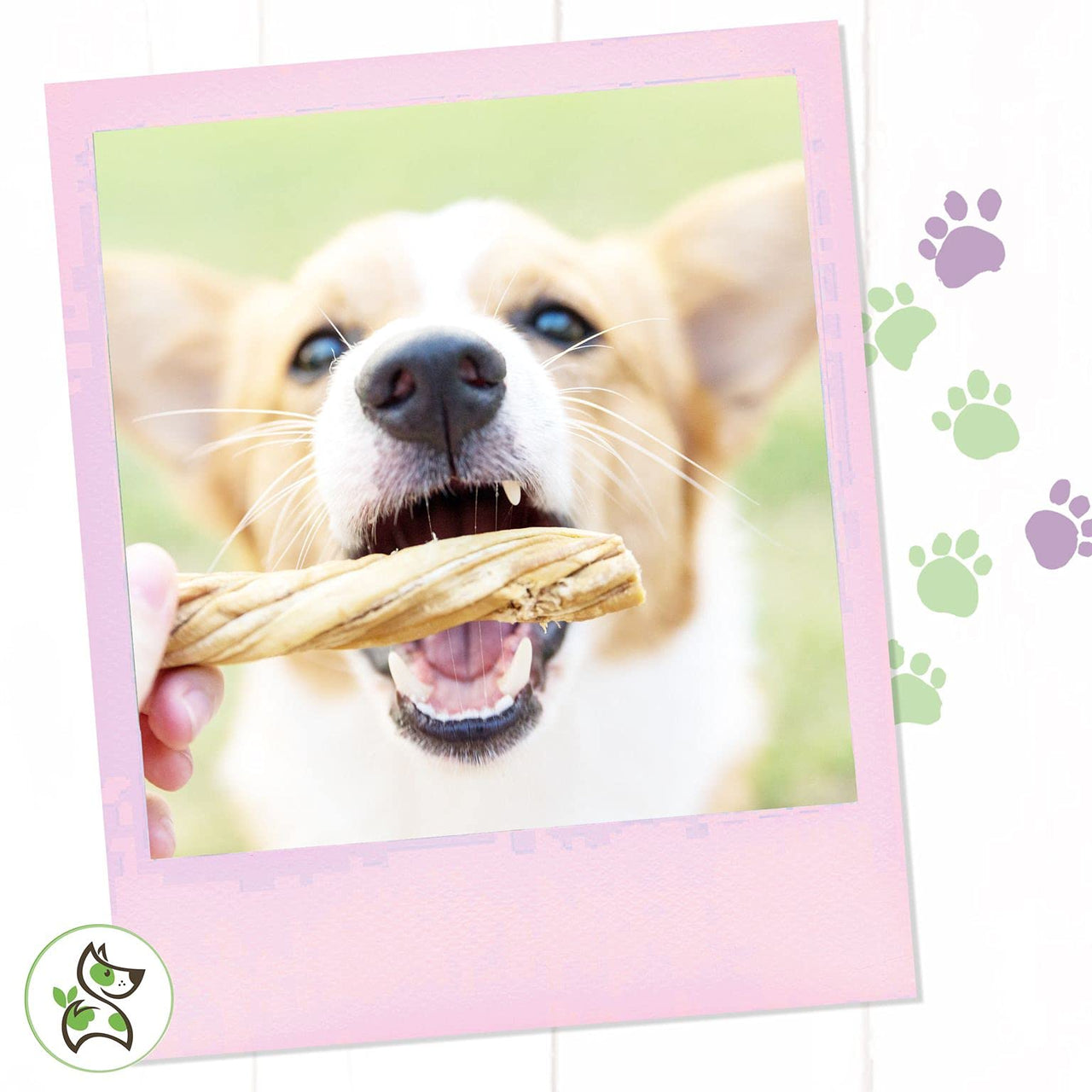 Nature Gnaws Tripe Twists for Dogs - Premium Natural Beef Sticks - Simple Single Ingredient Crunchy Dog Chew Treats - Rawhide Free 20 Count (Pack of 1)