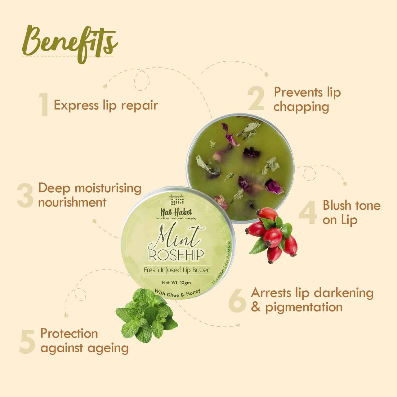 Nat Habit Mint Rosehip Lip Balm Fresh Infused Lip Butter With Desi Ghee & Raw Honey For Lip Pigmentation, Lightening, Lip Repair, Dark And Chapped Lips - 10gm (Pack of 2)