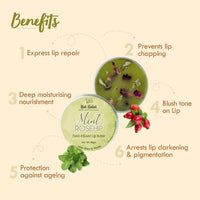 Nat Habit Mint Rosehip Lip Balm Fresh Infused Lip Butter With Desi Ghee & Raw Honey For Lip Pigmentation, Lightening, Lip Repair, Dark And Chapped Lips - 10gm (Pack of 2)