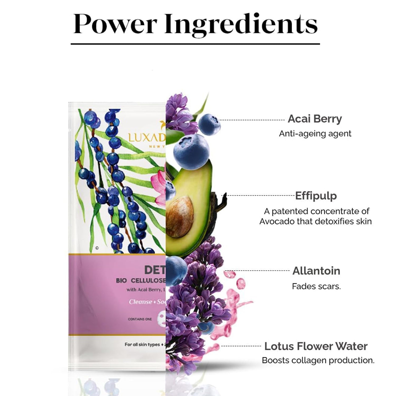 LuxaDerme Detox Bio Cellulose Sheet Mask | Detoxifies & Firms Skin | Anti-Pollution | All skin types | 100% Fermented Coconut Jelly (Pack of 1)