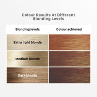 Streax Mini Highlight Kit, Cappuccino Brown, Brown Hair Colour I For Women | Rich, Vibrant, Easy To Use, Diy Application, 75 Gram, 1 Count