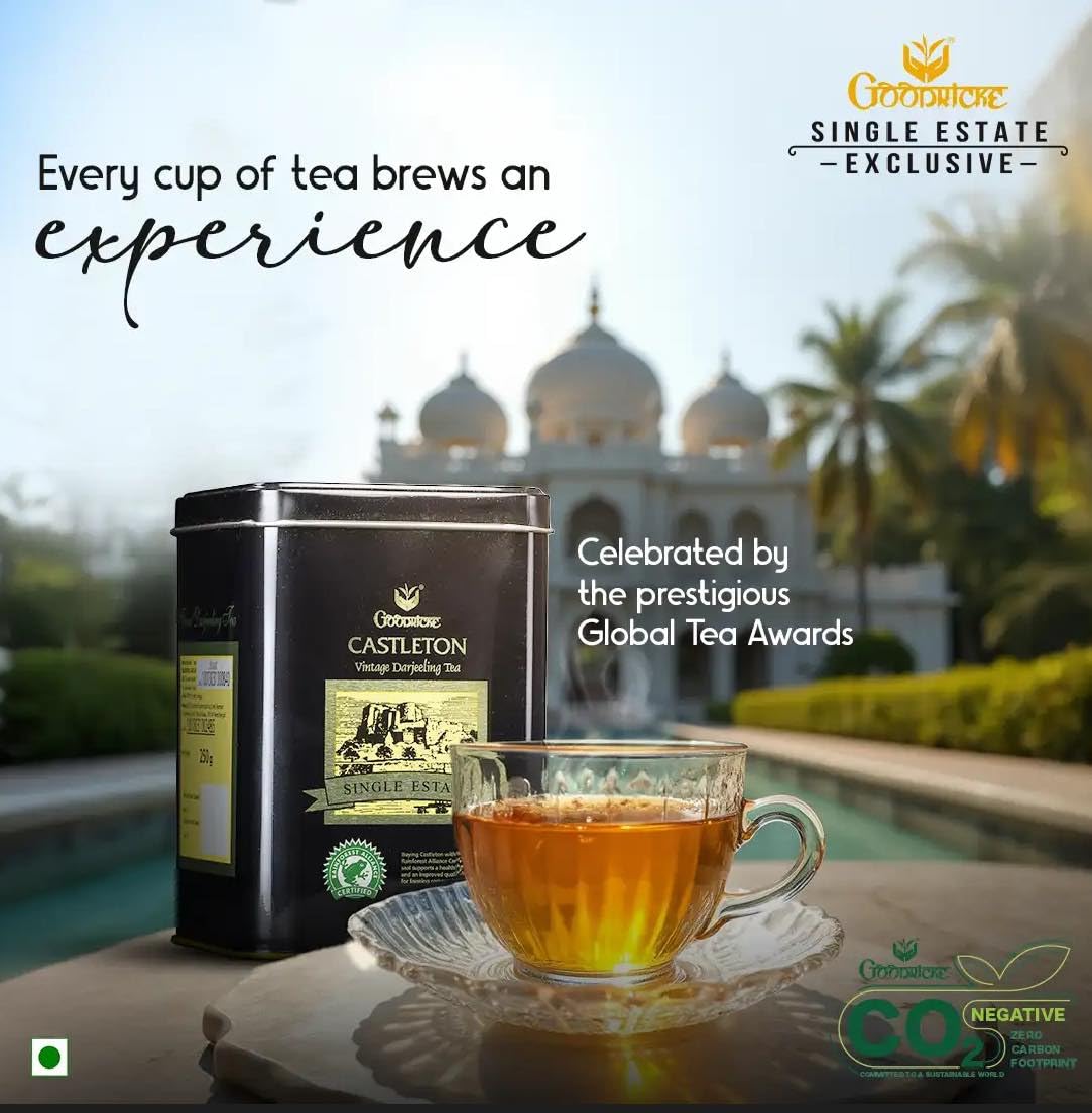 GOODRICKE Castleton Vintage Darjeeling Tea - 250gm (Pack of 1) | Single Estate Whole Leaf tea | 100% Loose Leaves | Premium Black Tea with Rich Taste & Aroma