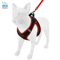Voyager Step-in Air All Weather Mesh Harness and Reflective Dog 5 ft Leash Combo with Neoprene Handle, for Small, Medium and Large Breed Puppies by Best Pet Supplies - Red Trim, XL Harness Leash Bundle (Black/Red Trim) XL (Chest: 20.5 - 23