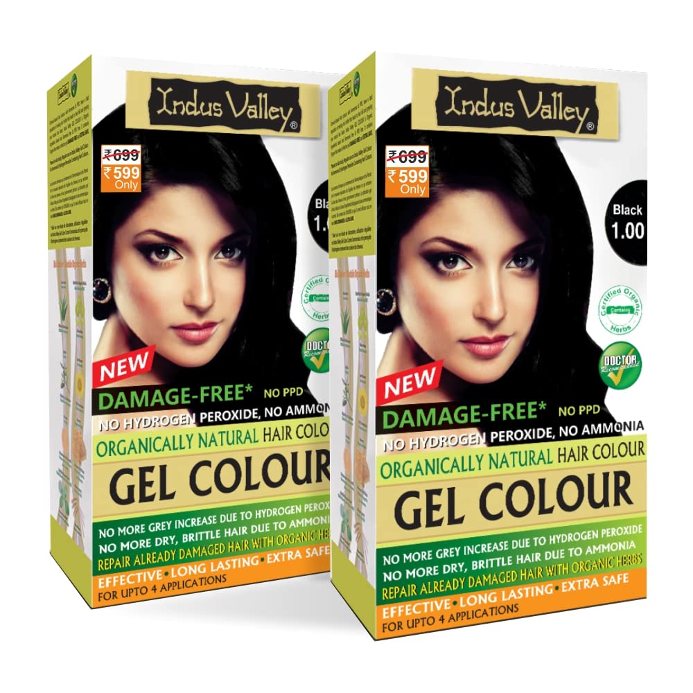 INDUS VALLEY Damage Free Natural Gel Hair Colour Women | Ammonia & Ppd Free Organic Hair Colour With 100% Grey Coverage, Long Lasting Conditioning Hair Color | Black 1.00 - Pack Of 2 (2X220 = 400 Ml)