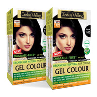 INDUS VALLEY Damage Free Natural Gel Hair Colour Women | Ammonia & Ppd Free Organic Hair Colour With 100% Grey Coverage, Long Lasting Conditioning Hair Color | Black 1.00 - Pack Of 2 (2X220 = 400 Ml)